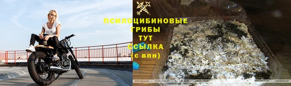 прущая мука Кодинск