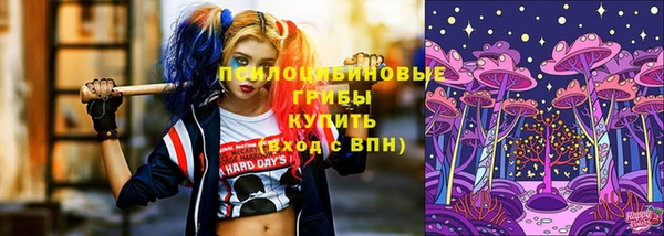 прущая мука Кодинск