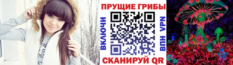 Псилоцибиновые грибы мухоморы  где купить наркотик  блэк спрут зеркало  Краснознаменск 